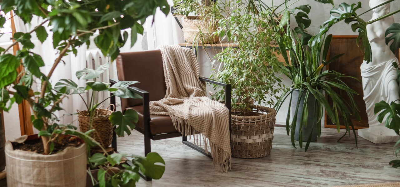 Biophilic design bez remontu – 12 prostych zmian, które „włączają naturę” do mieszkania 1 Biophilic design