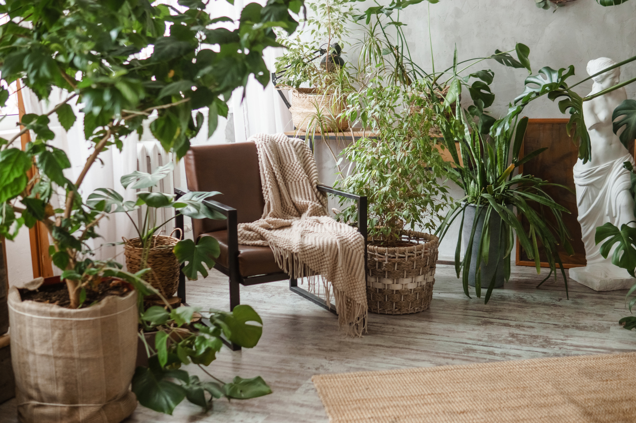 Biophilic design bez remontu – 12 prostych zmian, które „włączają naturę” do mieszkania 13 Biophilic design