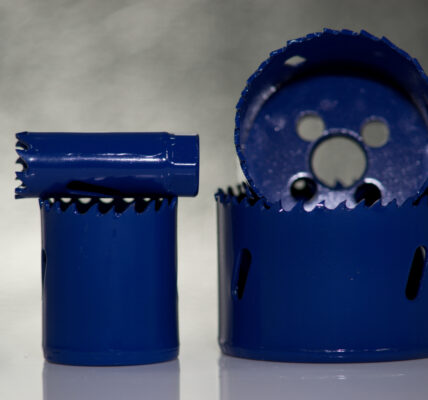 Otwornice w praktyce